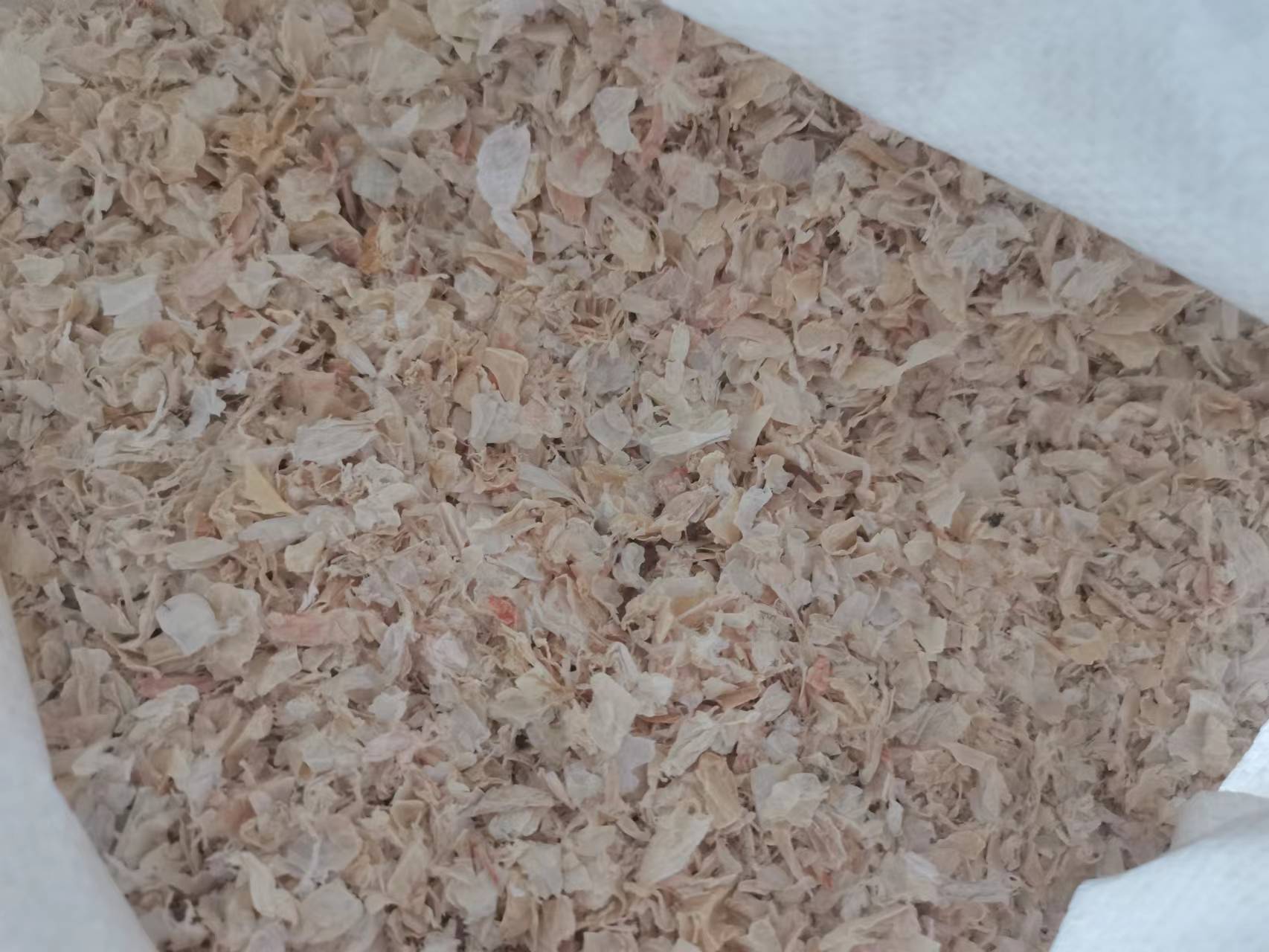 彩虹多多官网-追求健康,你我一起成长